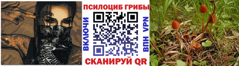Купить закладки  Магадан  Псилоцибиновые грибы ЛСД 