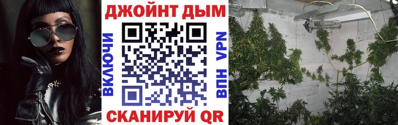 Конопля White Widow  Купить где  Магадан 